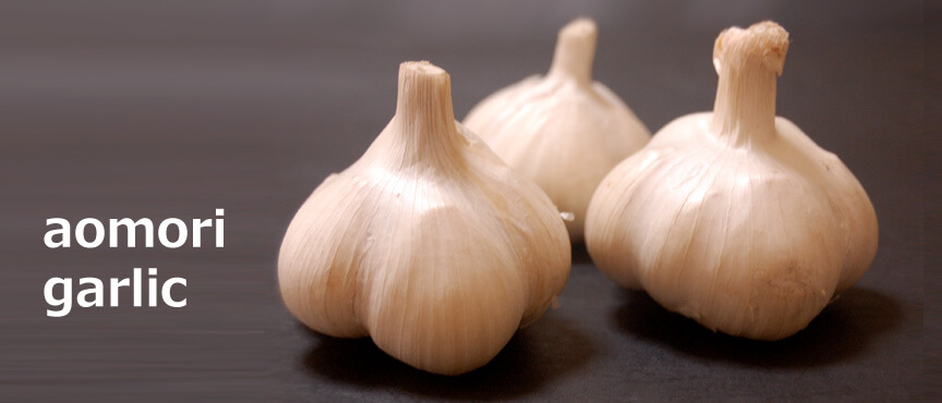aomori-garlic-02 blogimage