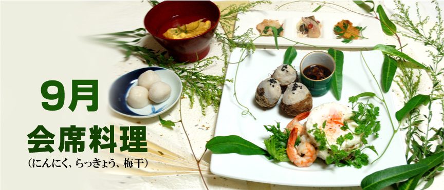 garlic-61 blogimage