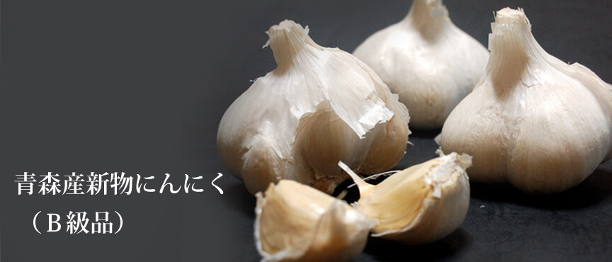 aomori-b-grade blogimage
