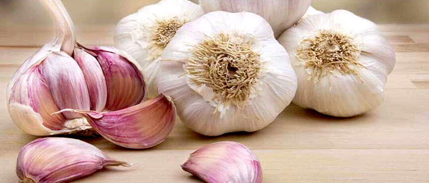 kenkogarlic blogimage