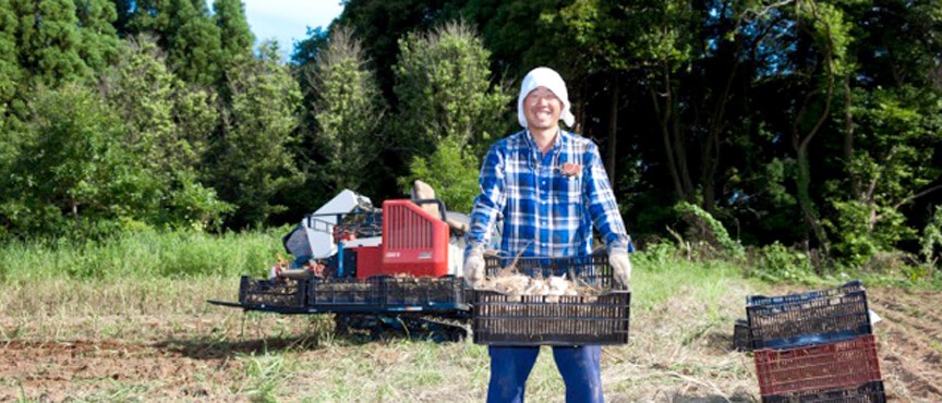 garlic-harvest-01 blogimage