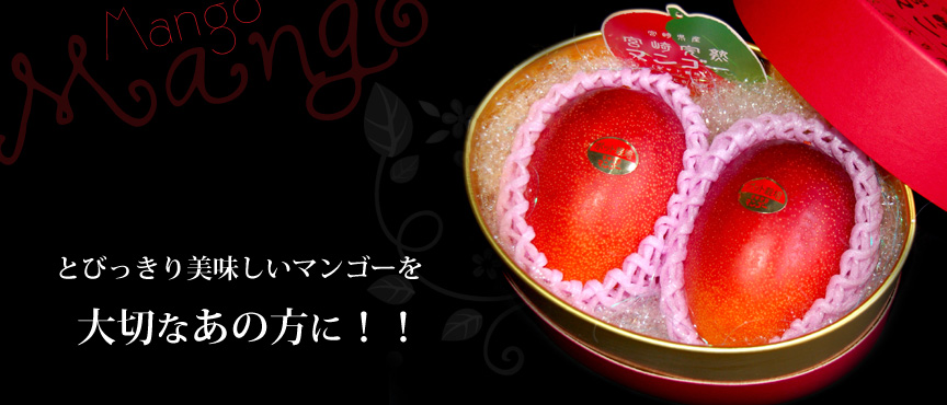 mango-02 blogimage