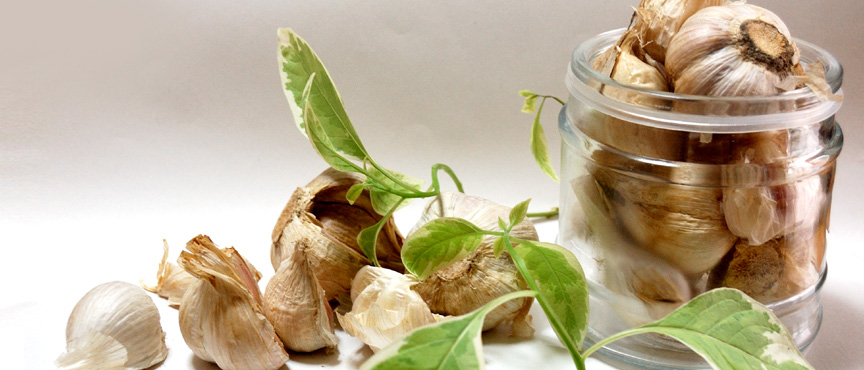 kyushu-garlic02 blogimage