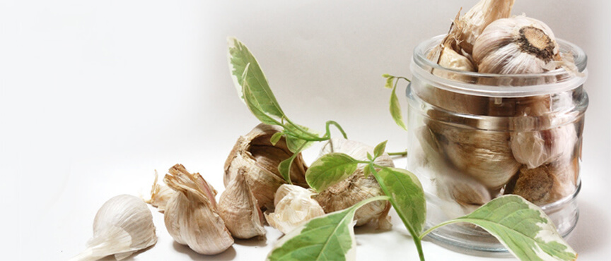 kyushu-garlic03 blogimage