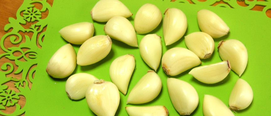 garlic-harvest-07 blogimage