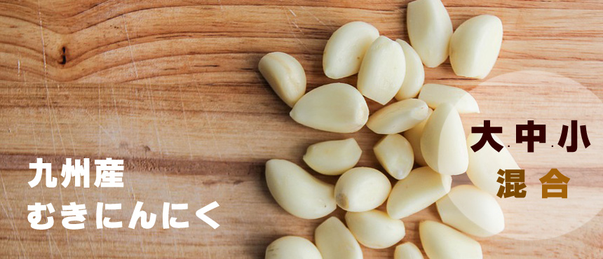 kushu-garlic blogimage