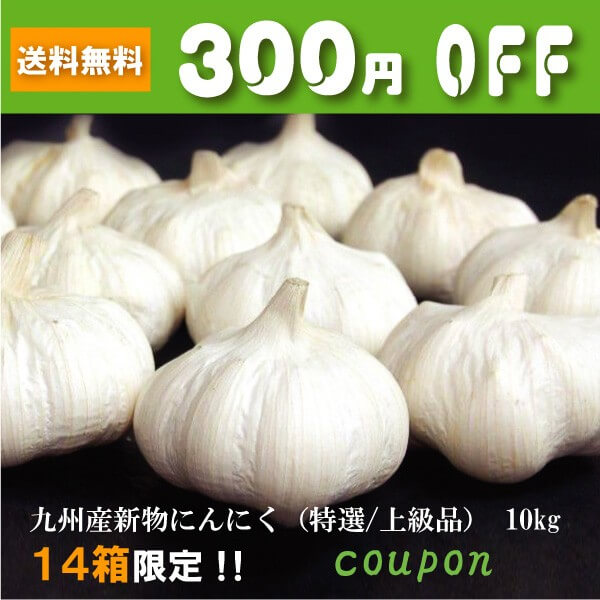 美味しい食卓通販 九州産新物にんにく (特選~上級品) 10kg 300円OFFクーポン!