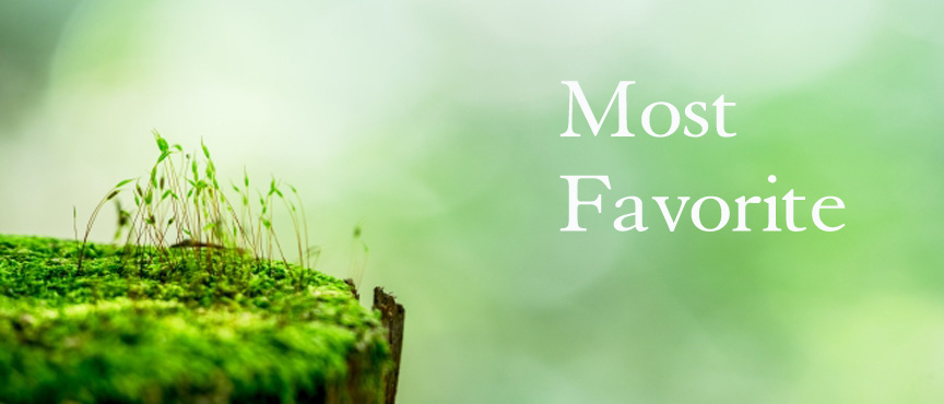 most-favorite blogimage