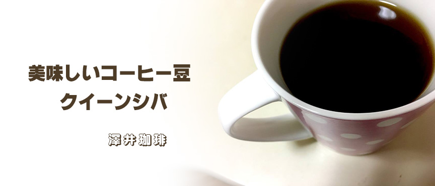 クイーンシバ blogimage