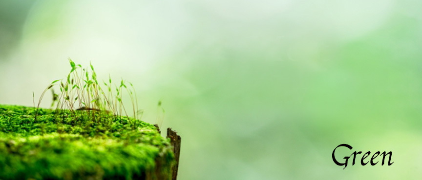 green blogimage